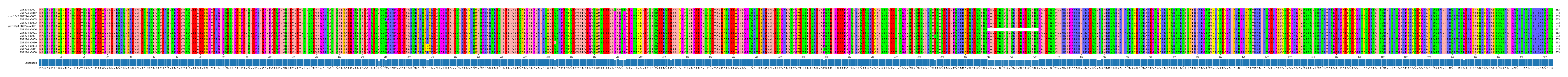 Multiple Alignments (by translate haplotype similarity)