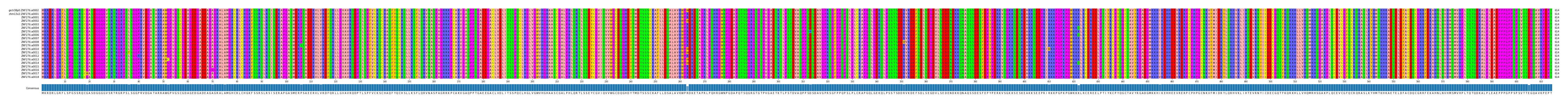 Multiple Alignments (by translate haplotype frequency)