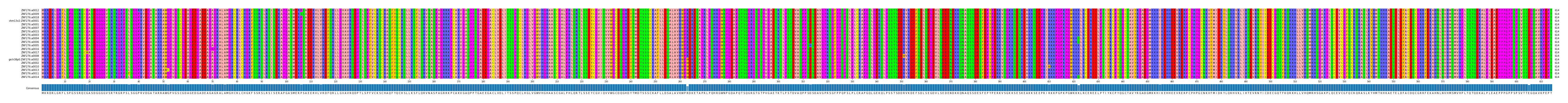 Multiple Alignments (by translate haplotype similarity)