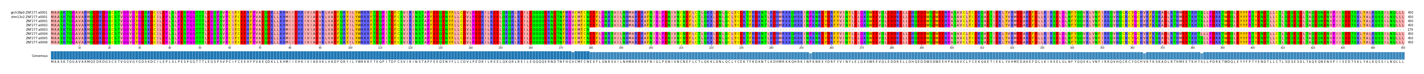 Multiple Alignments (by translate haplotype frequency)