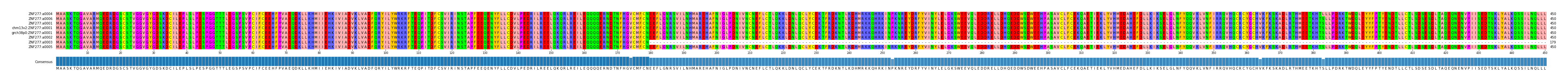 Multiple Alignments (by translate haplotype similarity)