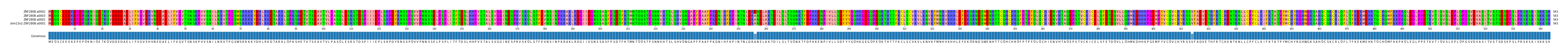 Multiple Alignments (by translate haplotype similarity)