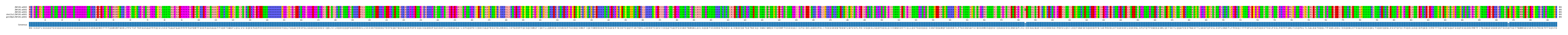 Multiple Alignments (by translate haplotype similarity)