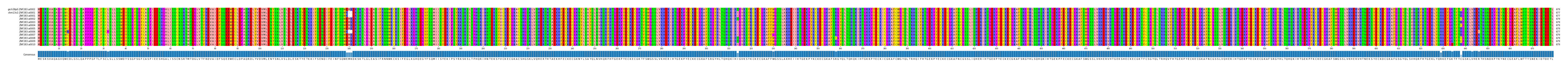 Multiple Alignments (by translate haplotype frequency)