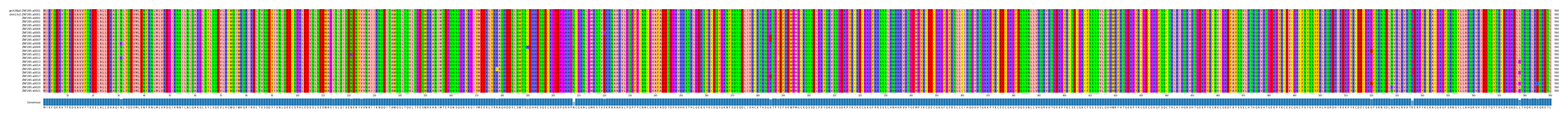 Multiple Alignments (by translate haplotype frequency)