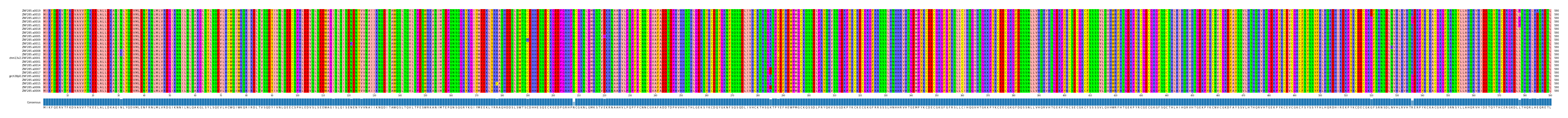 Multiple Alignments (by translate haplotype similarity)
