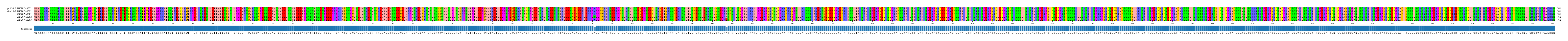 Multiple Alignments (by translate haplotype frequency)