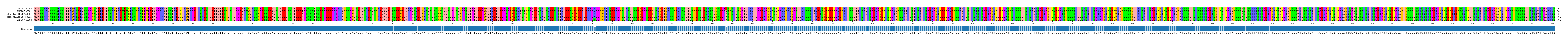Multiple Alignments (by translate haplotype similarity)