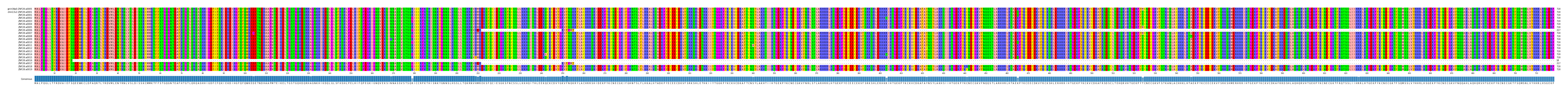 Multiple Alignments (by translate haplotype frequency)