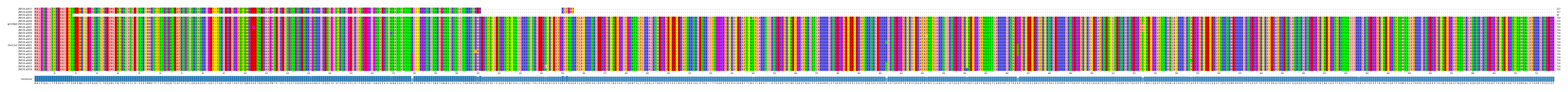 Multiple Alignments (by translate haplotype similarity)