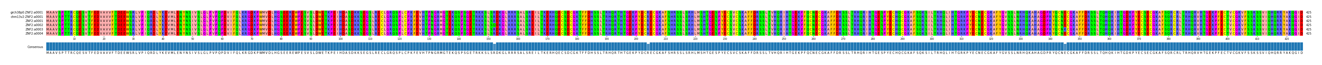 Multiple Alignments (by translate haplotype frequency)