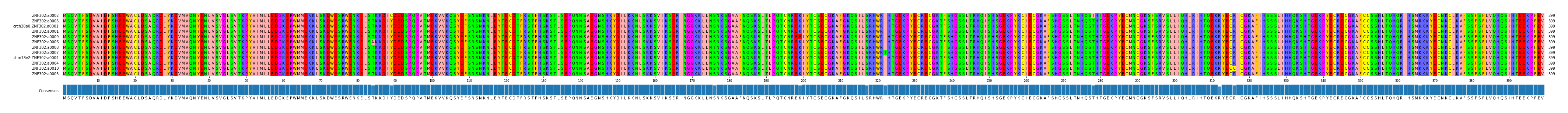 Multiple Alignments (by translate haplotype similarity)