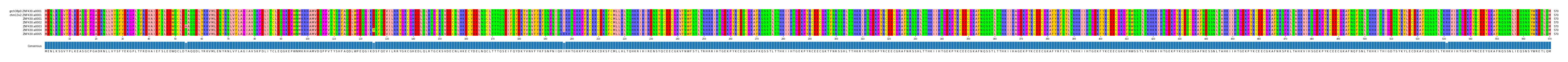 Multiple Alignments (by translate haplotype frequency)
