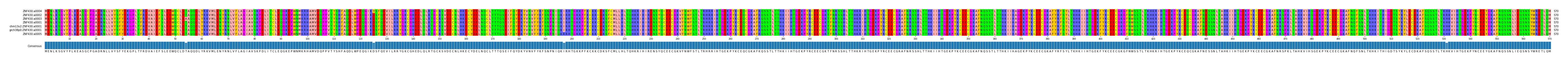 Multiple Alignments (by translate haplotype similarity)