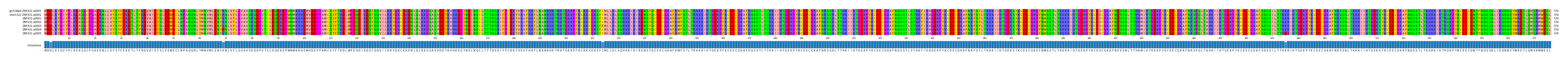 Multiple Alignments (by translate haplotype frequency)