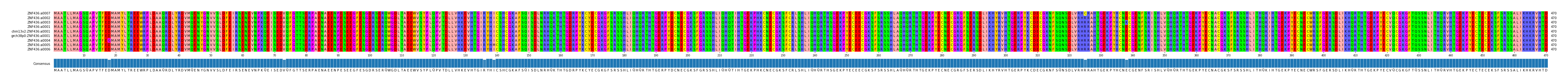 Multiple Alignments (by translate haplotype similarity)
