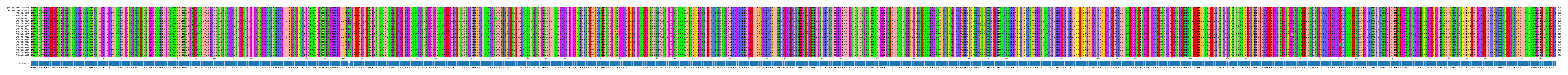 Multiple Alignments (by translate haplotype frequency)