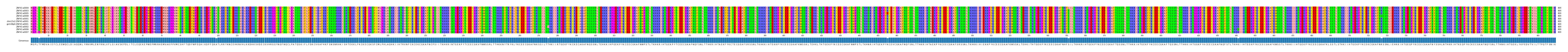 Multiple Alignments (by translate haplotype similarity)