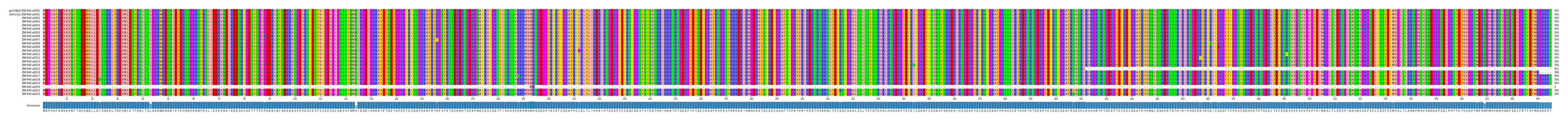 Multiple Alignments (by translate haplotype frequency)