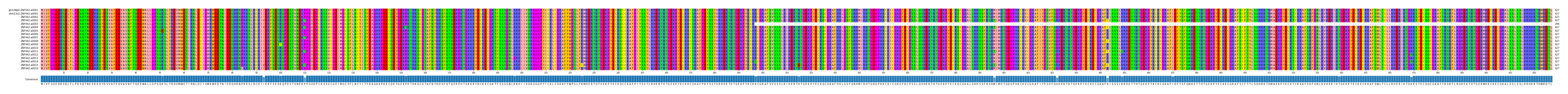 Multiple Alignments (by translate haplotype frequency)