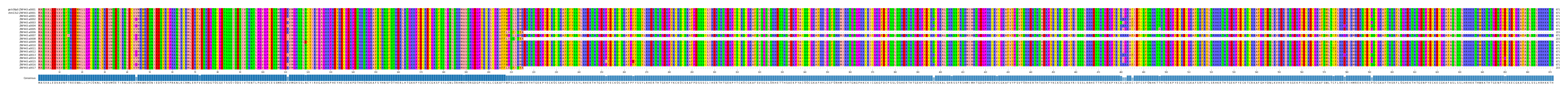 Multiple Alignments (by translate haplotype frequency)