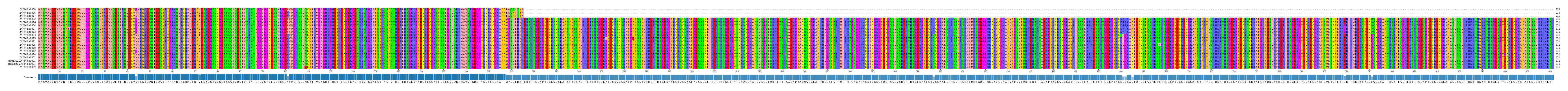 Multiple Alignments (by translate haplotype similarity)