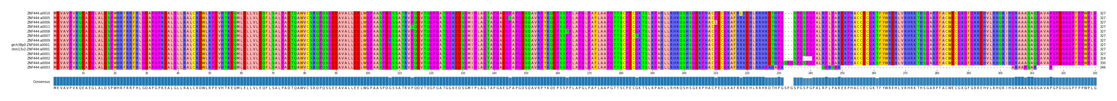 Multiple Alignments (by translate haplotype similarity)
