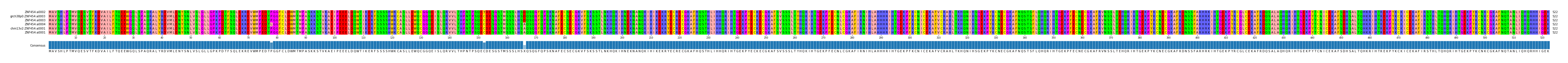 Multiple Alignments (by translate haplotype similarity)