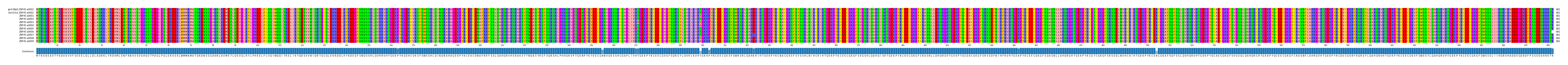 Multiple Alignments (by translate haplotype frequency)