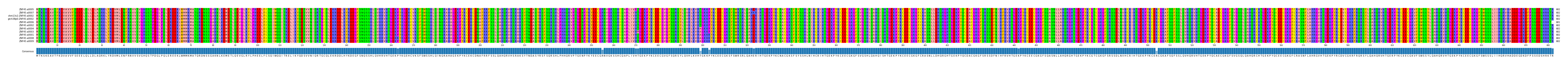 Multiple Alignments (by translate haplotype similarity)