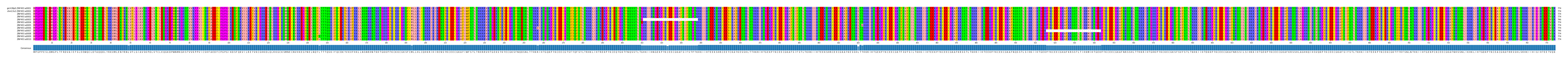 Multiple Alignments (by translate haplotype frequency)
