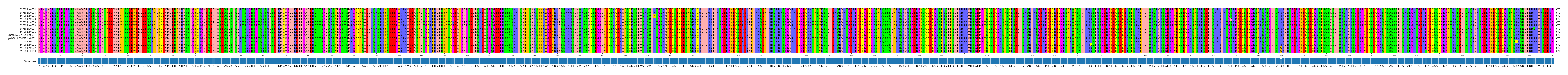 Multiple Alignments (by translate haplotype similarity)