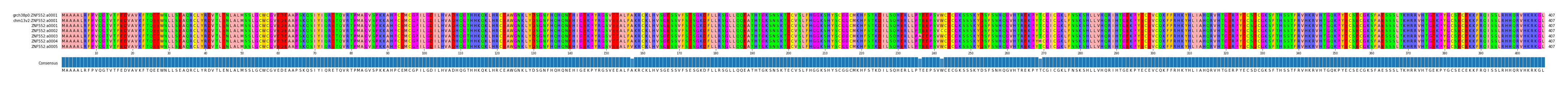 Multiple Alignments (by translate haplotype frequency)