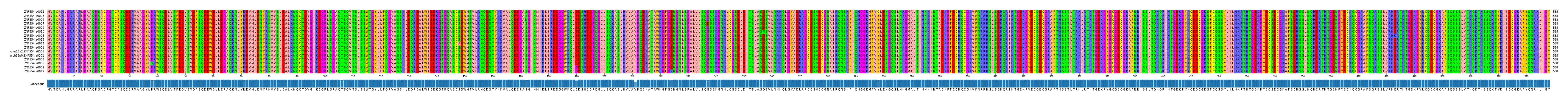 Multiple Alignments (by translate haplotype similarity)