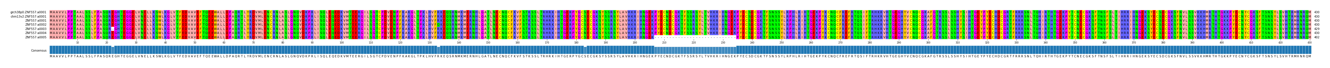 Multiple Alignments (by translate haplotype frequency)