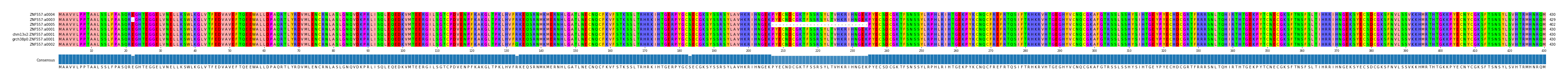 Multiple Alignments (by translate haplotype similarity)