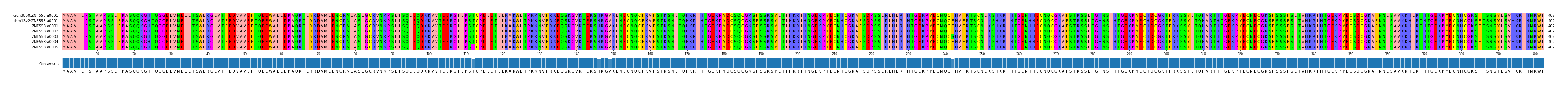 Multiple Alignments (by translate haplotype frequency)