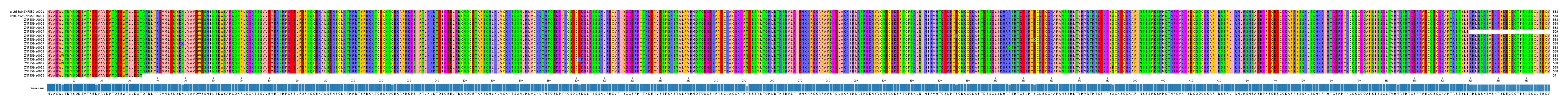 Multiple Alignments (by translate haplotype frequency)