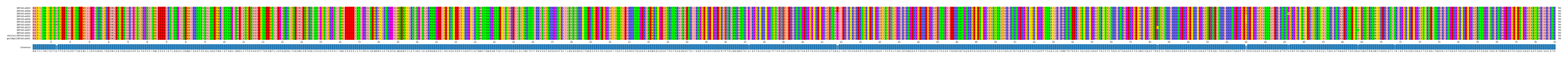 Multiple Alignments (by translate haplotype similarity)