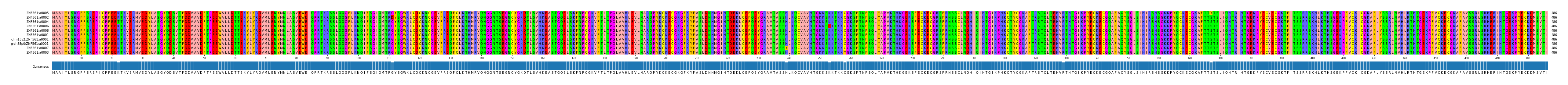 Multiple Alignments (by translate haplotype similarity)