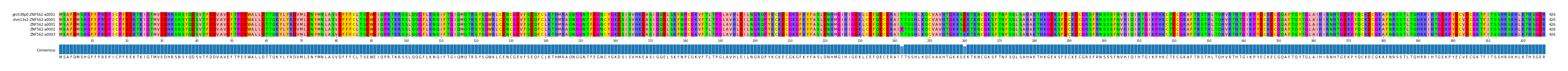 Multiple Alignments (by translate haplotype frequency)