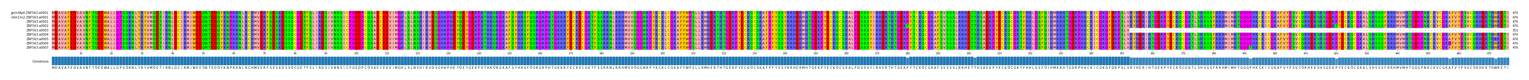 Multiple Alignments (by translate haplotype frequency)