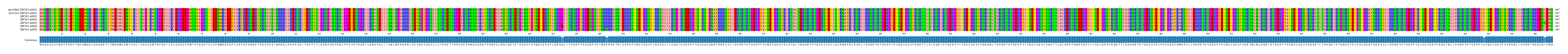 Multiple Alignments (by translate haplotype frequency)