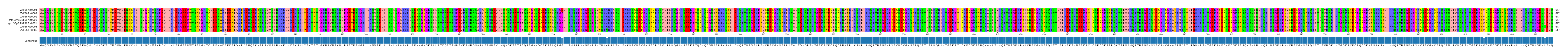 Multiple Alignments (by translate haplotype similarity)