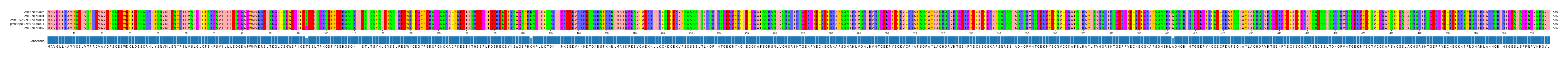 Multiple Alignments (by translate haplotype similarity)