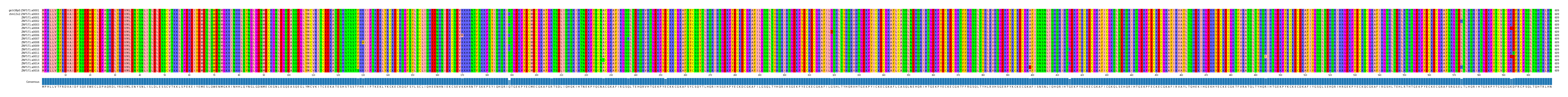 Multiple Alignments (by translate haplotype frequency)