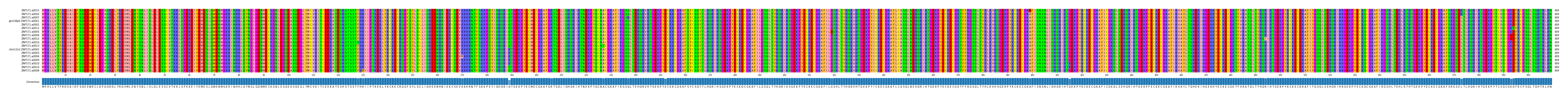 Multiple Alignments (by translate haplotype similarity)
