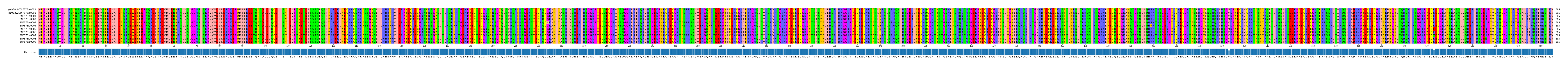 Multiple Alignments (by translate haplotype frequency)