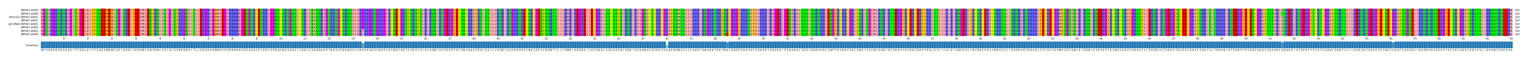 Multiple Alignments (by translate haplotype similarity)