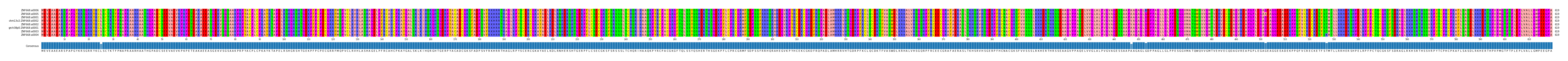Multiple Alignments (by translate haplotype similarity)